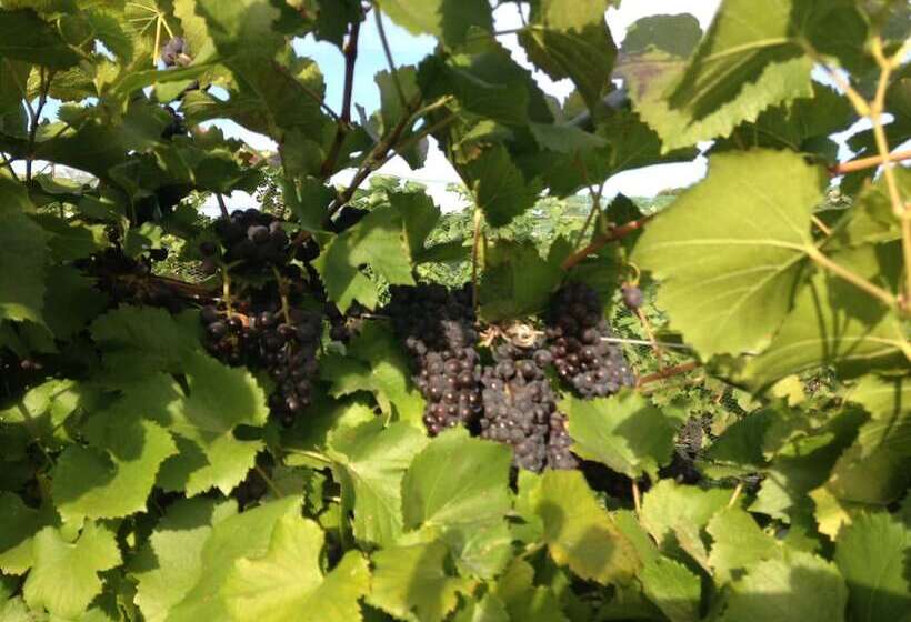 Szálloda Lakeside Lodge And Suites