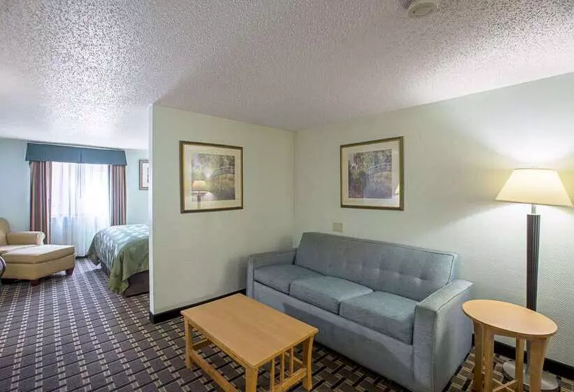Otel Quality Inn & Suites Near I480 And I29