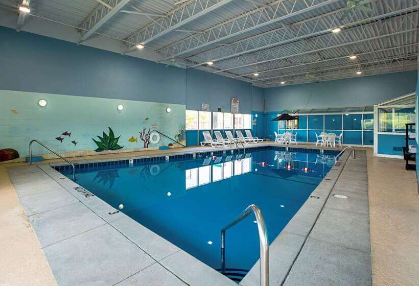 Hotel Quality Inn & Suites Near I480 And I29