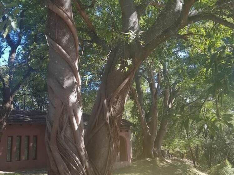 هاستل Nyangombe Backpackers