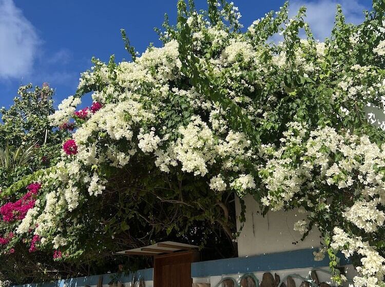 هتل Lagoon Villa Thoddoo