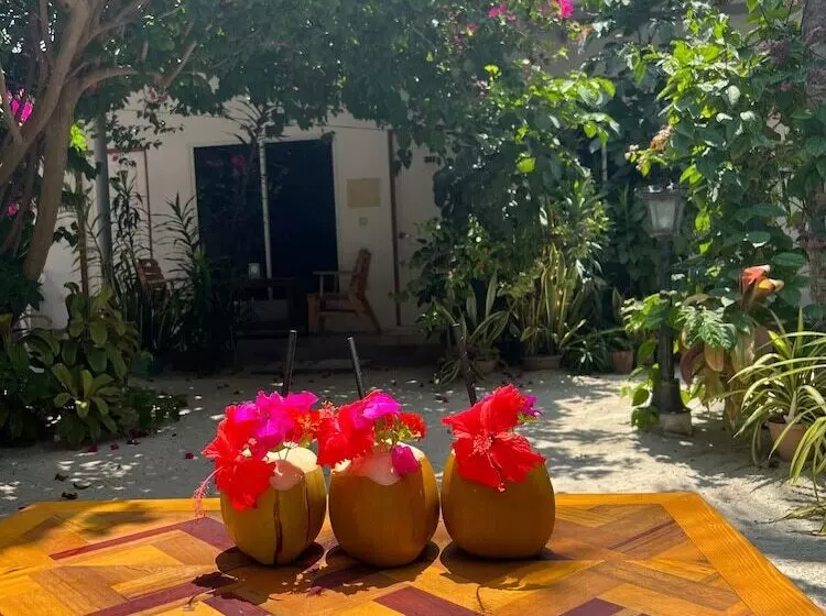 هتل Lagoon Villa Thoddoo