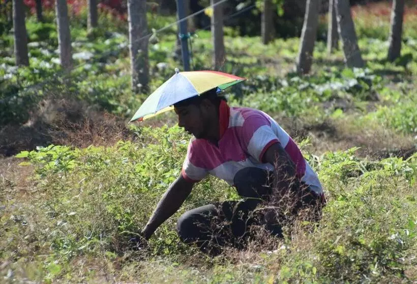 هتل Lagoon Villa Thoddoo