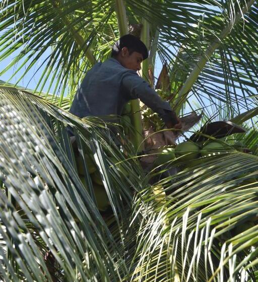 هتل Lagoon Villa Thoddoo