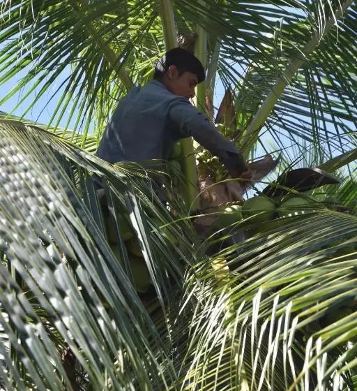 هتل Lagoon Villa Thoddoo