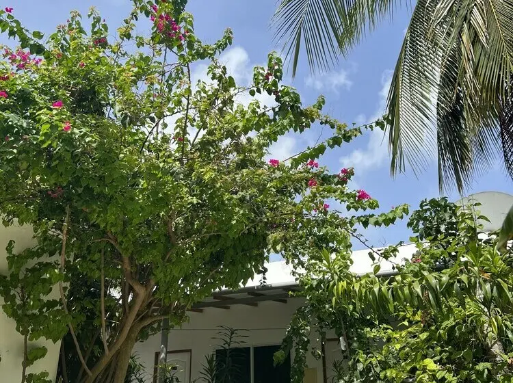 هتل Lagoon Villa Thoddoo