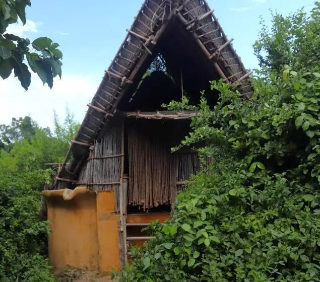 Resort Chumbe Island Coral Park