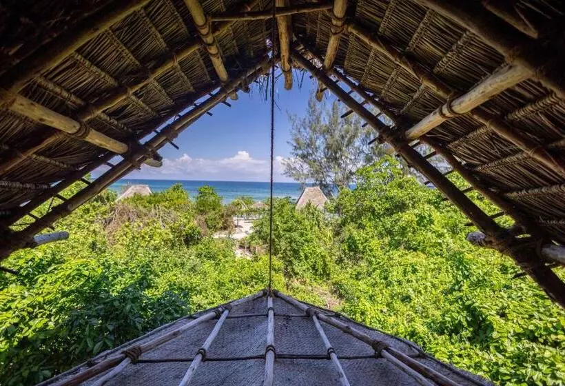 Resort Chumbe Island Coral Park