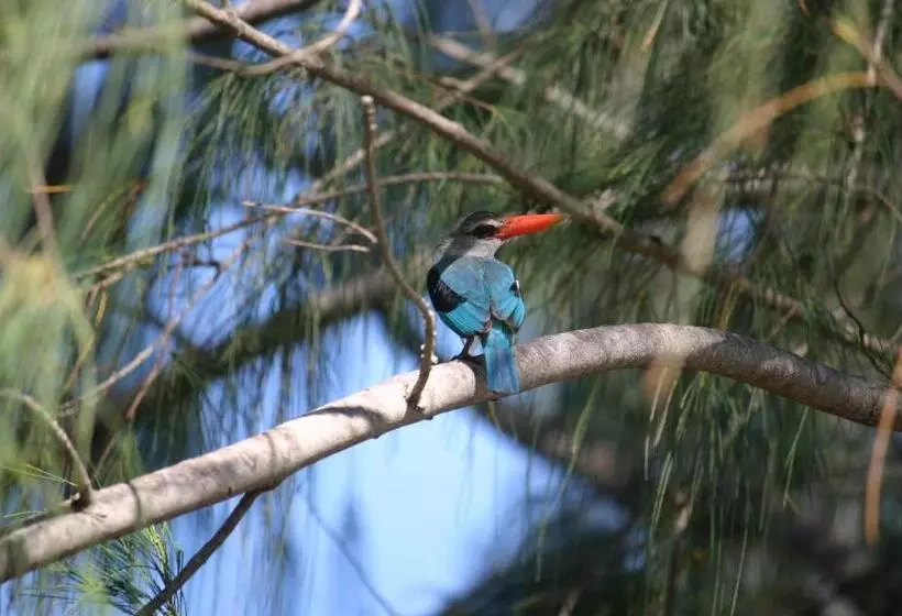 Resort Chumbe Island Coral Park