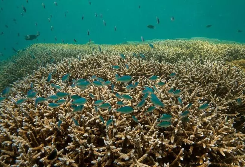 Resort Chumbe Island Coral Park