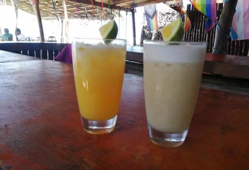 Hotel La Máxima & Lgbt