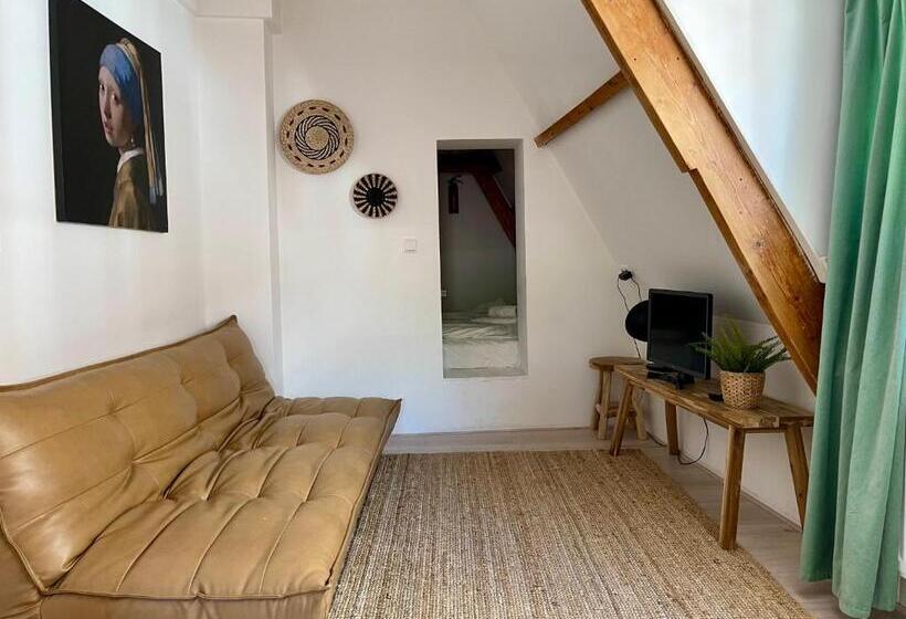 旅馆 Tiny Private City Rooms Haarlem