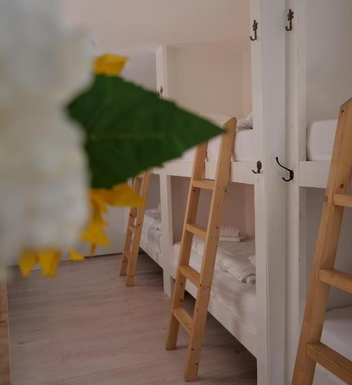 旅馆 Tiny Private City Rooms Haarlem