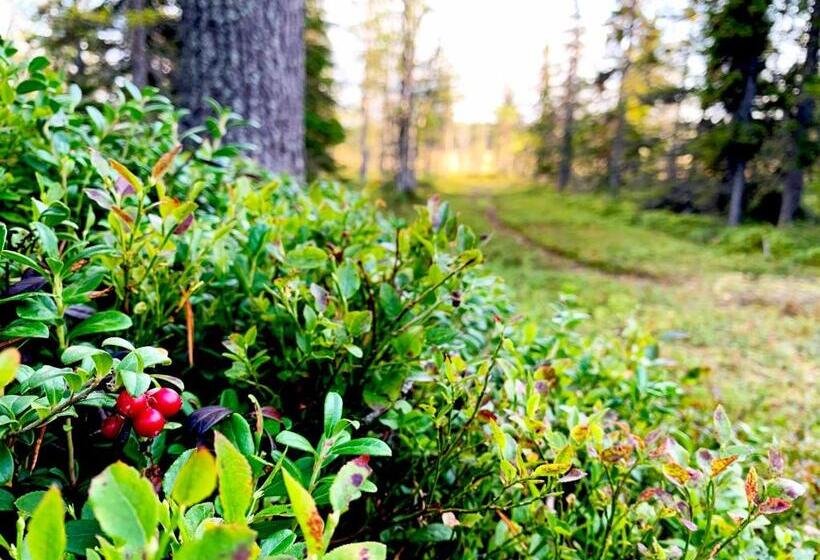 Kide Hotel By Iso Syöte