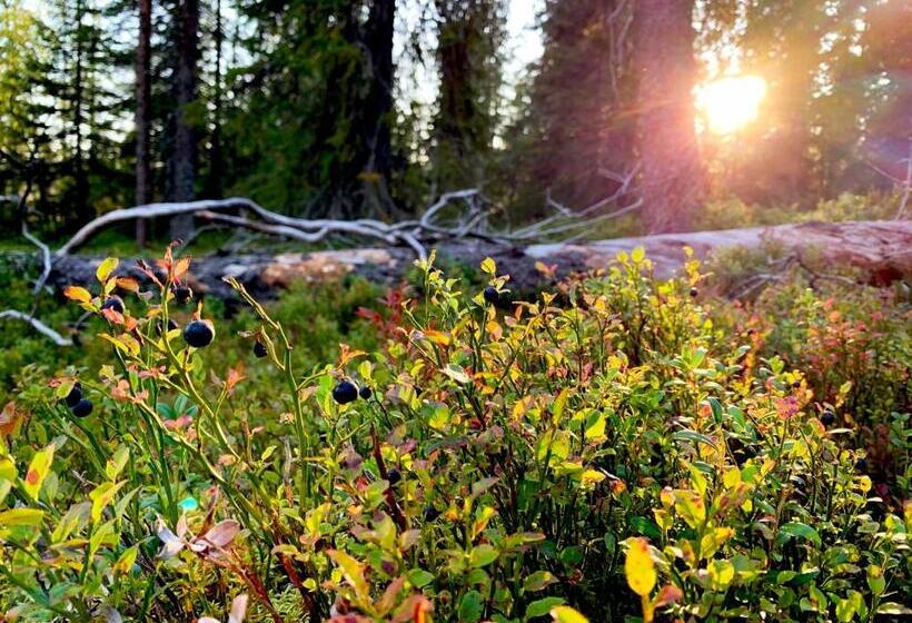 Kide Hotel By Iso Syöte