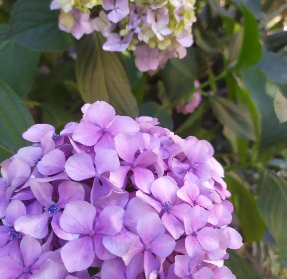 צימר Sotto L Eremo