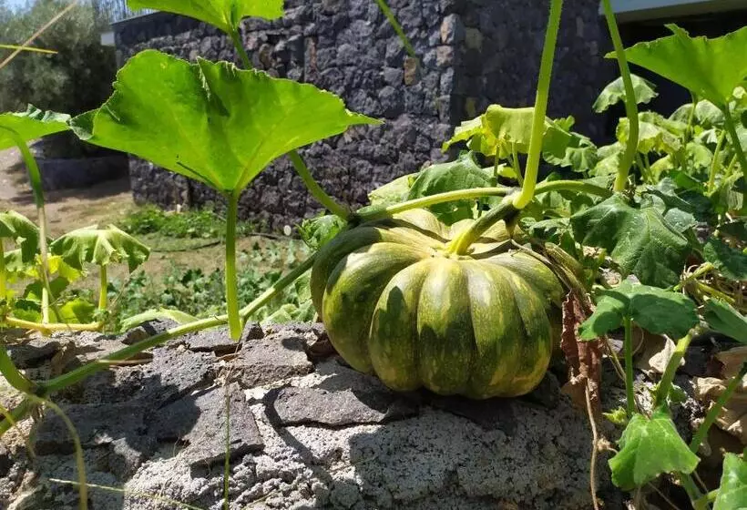 Aamiaismajoitus (B&B) Sotto L Eremo