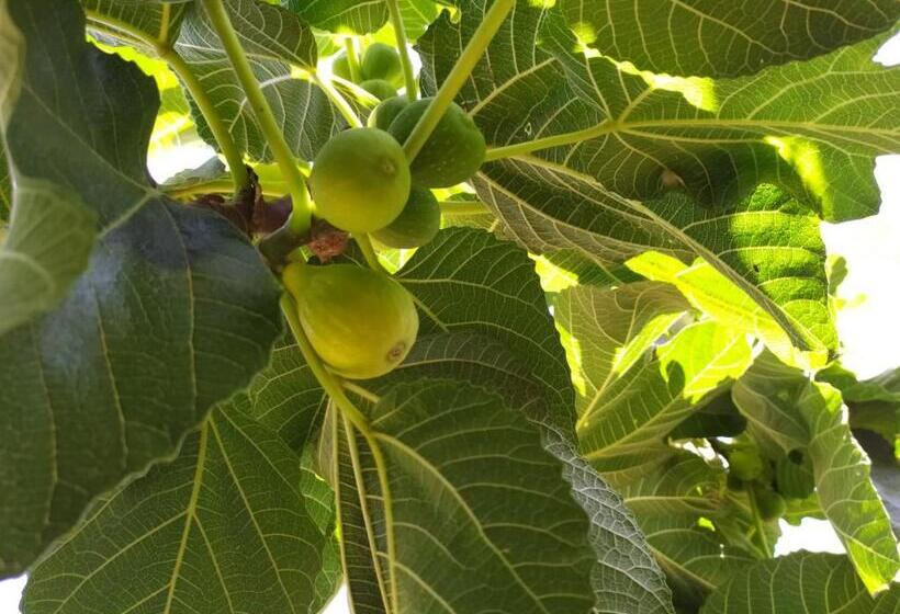 צימר Sotto L Eremo