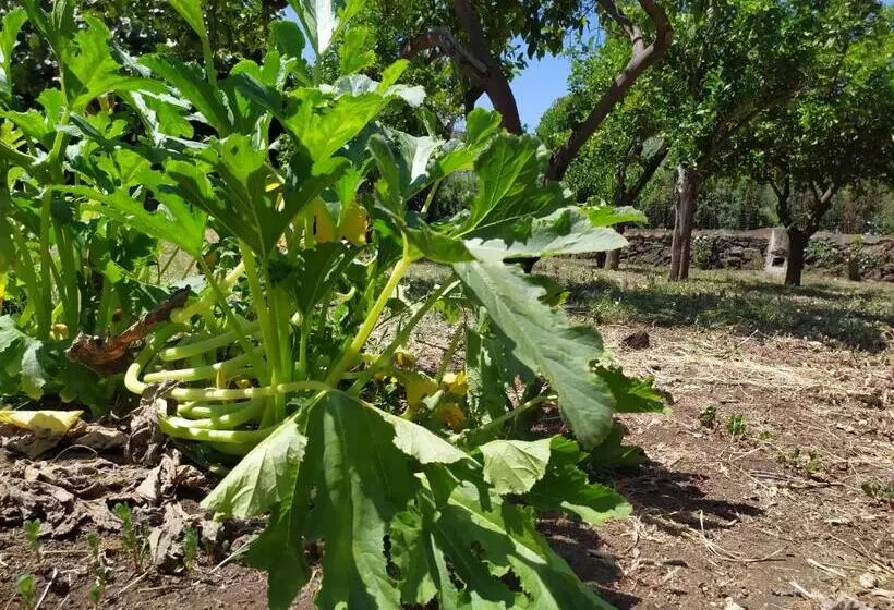 Aamiaismajoitus (B&B) Sotto L Eremo