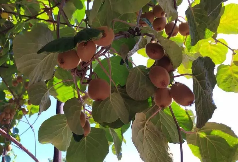 Aamiaismajoitus (B&B) Sotto L Eremo