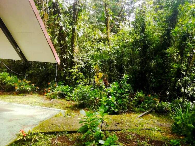 بنسيون Cabañas Las Orquideas