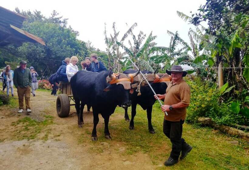 بنسيون Cabañas Las Orquideas