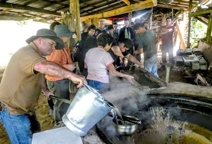 بنسيون Cabañas Las Orquideas