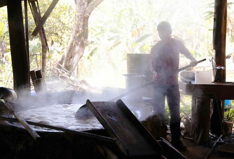 بنسيون Cabañas Las Orquideas