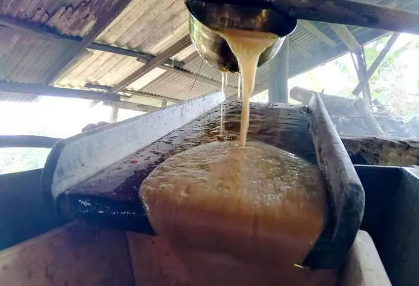 Majatalo Cabañas Las Orquideas