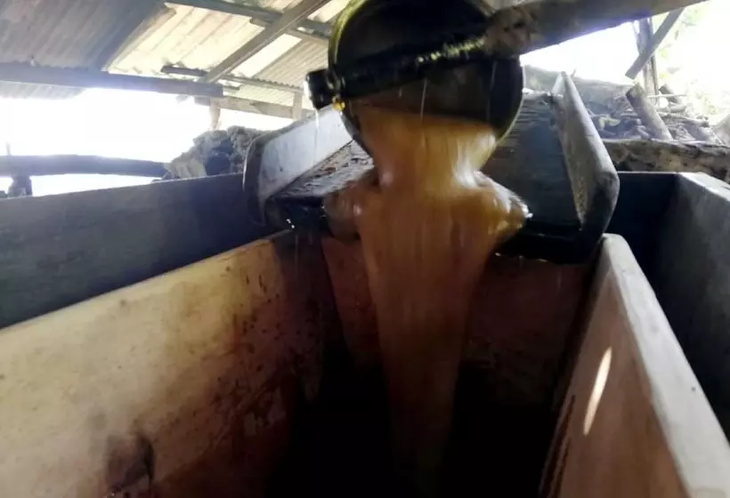 Majatalo Cabañas Las Orquideas