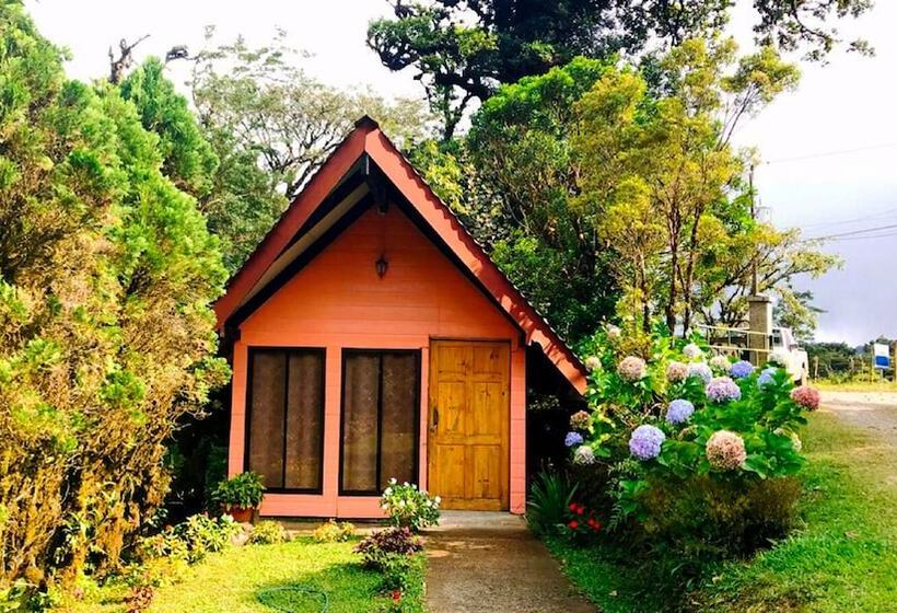 بنسيون Cabañas Las Orquideas