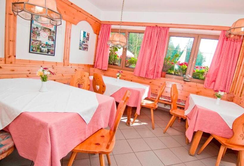 هاستل Gasthof Schneiderwiesen