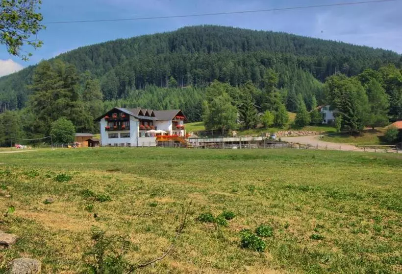 ユースホステル Gasthof Schneiderwiesen