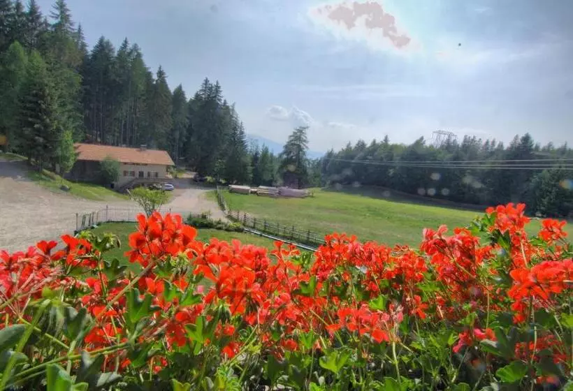 ユースホステル Gasthof Schneiderwiesen