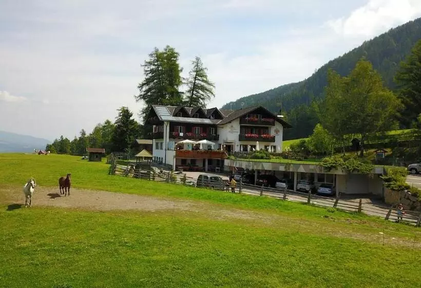 ユースホステル Gasthof Schneiderwiesen