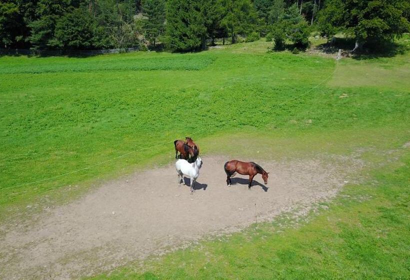 هاستل Gasthof Schneiderwiesen