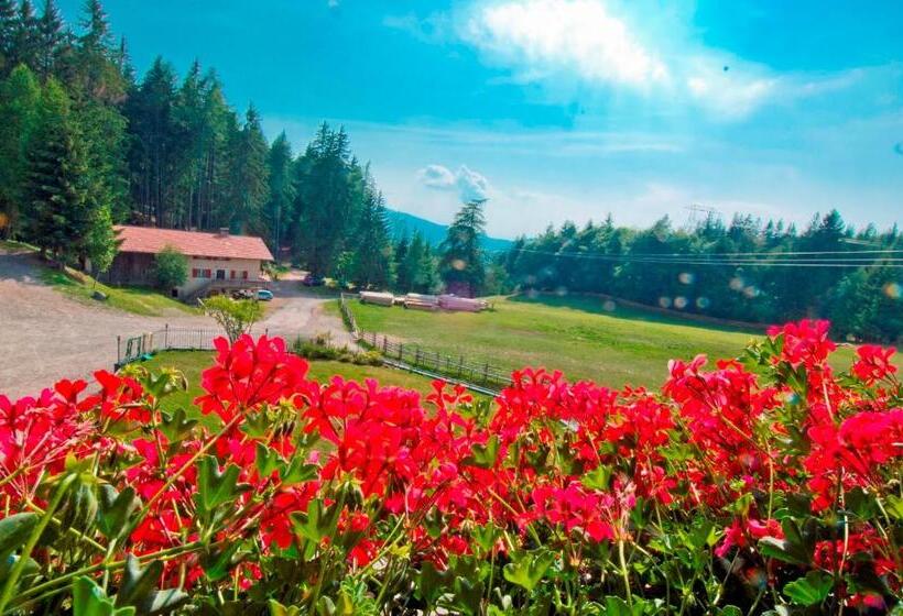 هاستل Gasthof Schneiderwiesen