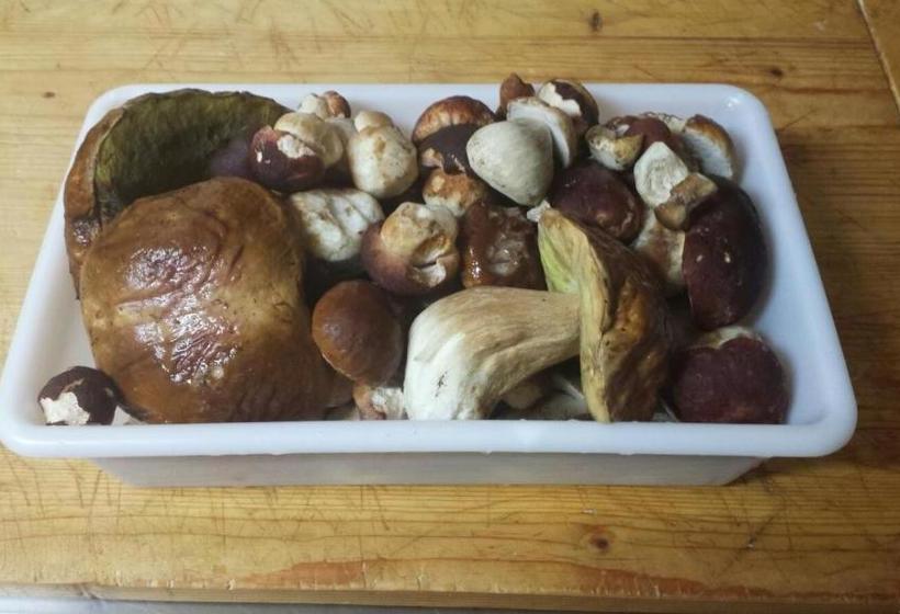 בית מלון כפרי La Buca Delle Fate Ristorante Albergo