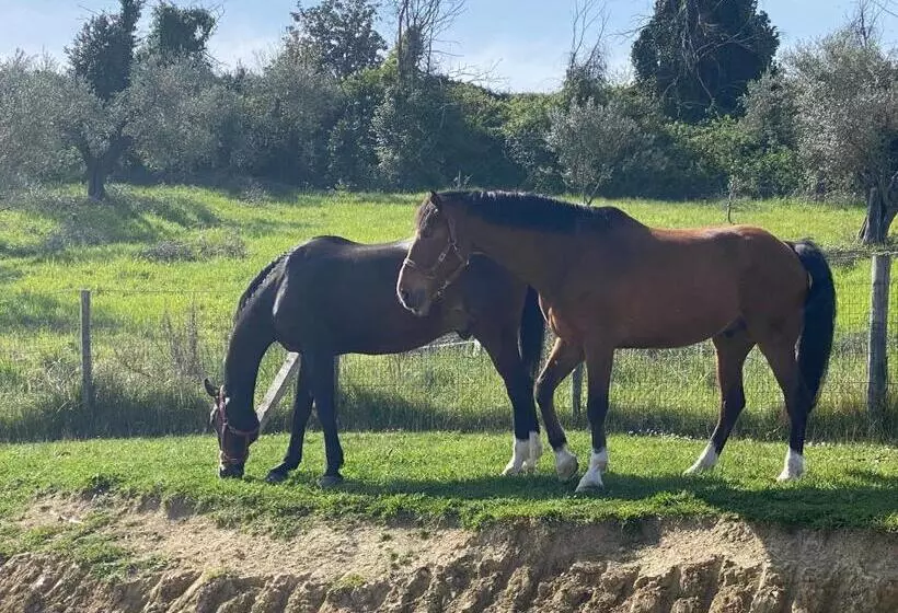 Lomakeskus Tenuta Lisetta