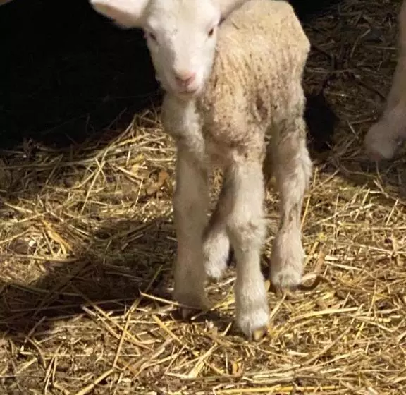 Lomakeskus Tenuta Lisetta