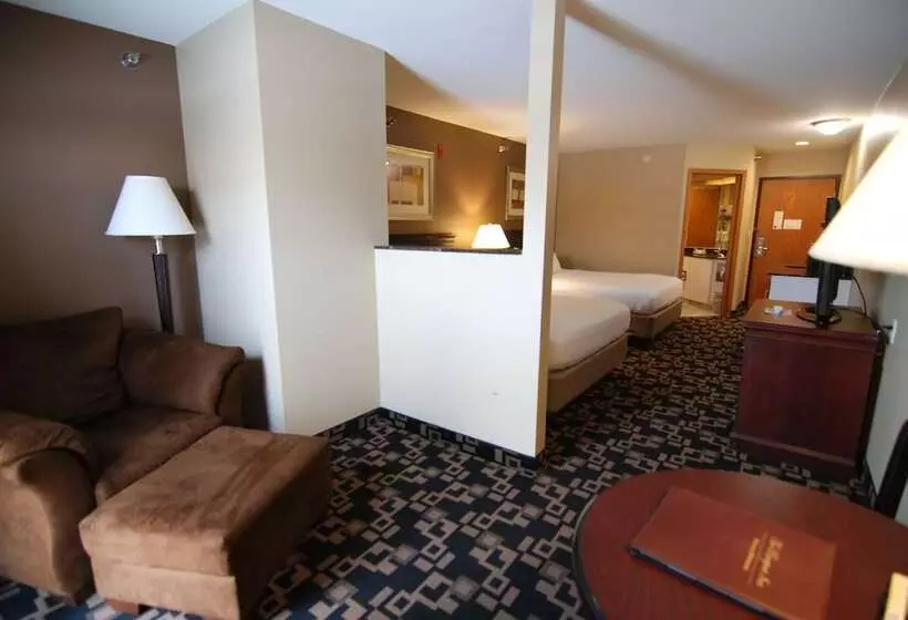 酒店 Express Suites Riverport Inn & Suites