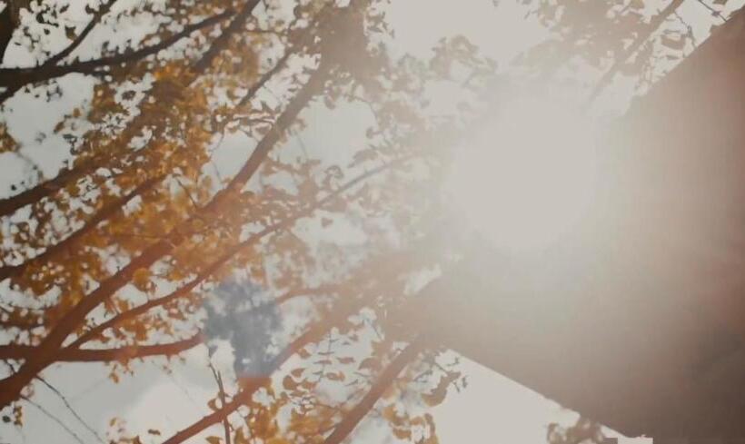 בית מלון כפרי Misty Wonderland ,yangshuo Xingping