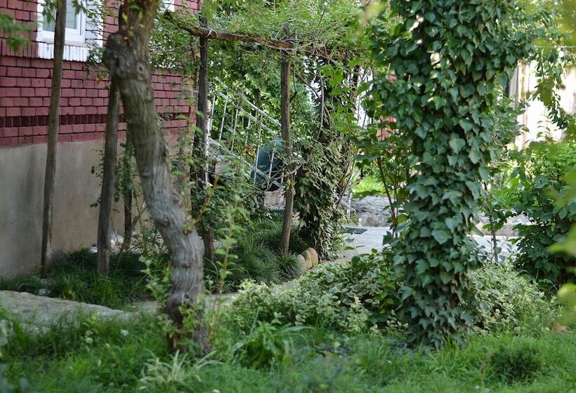 تختخواب و صبحانه Book