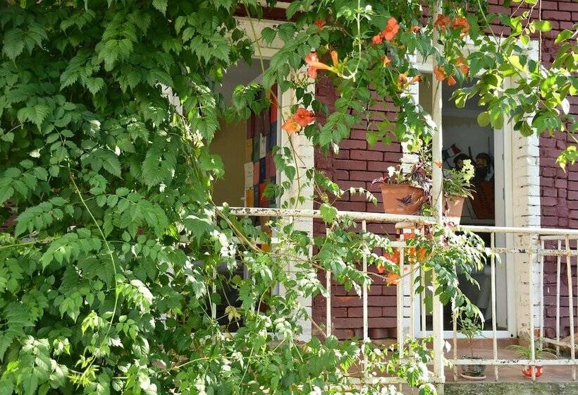 تختخواب و صبحانه Book