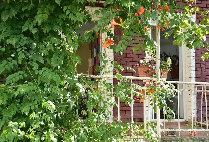 تختخواب و صبحانه Book