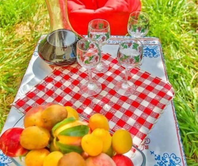 تختخواب و صبحانه Book