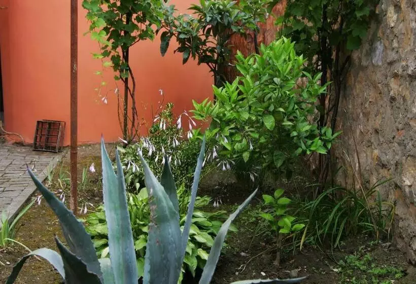 پانسیون Two Towers Guest House