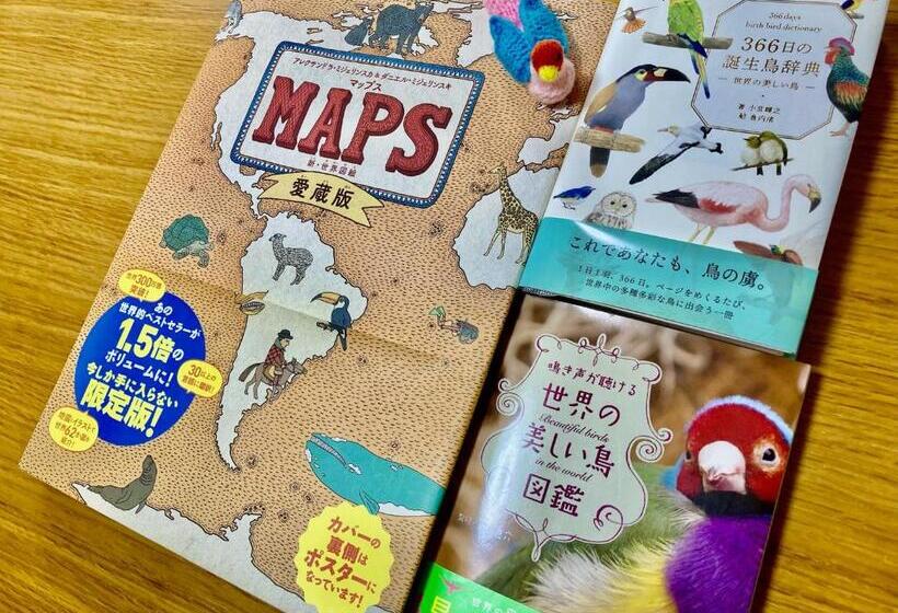 Pensão Guesthouse Perche Female Only