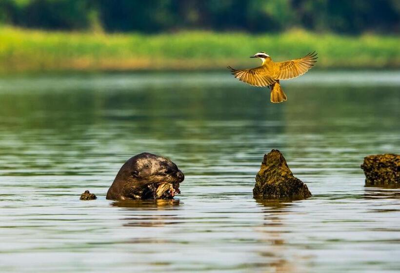 Pension Aymara Lodge