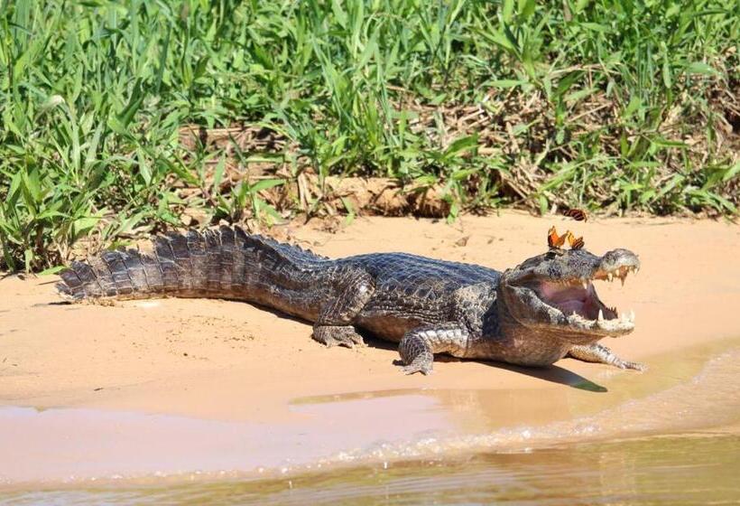 Pension Aymara Lodge